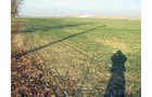Property photo 5 - 60 Acres Offered in 2 Tracts